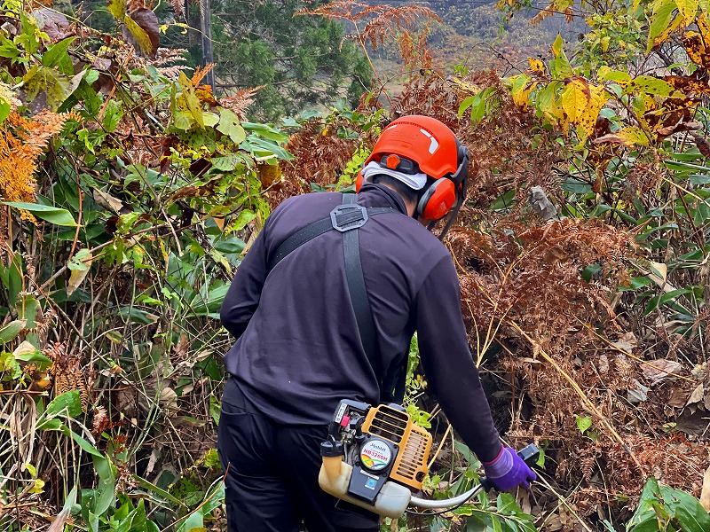 合同会社Forest山田